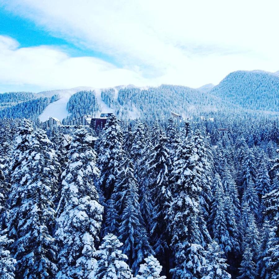Mountain Paradise In Aparthotel Borovets Gardens Eksteriør billede
